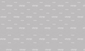 Read more about the article Rojabiyah dan Presentasi SMP SMA Plus Az-Zahroh